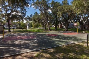 Basketball court surrounded by trees